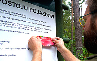 Bezpieczne grzybobranie w Nadleśnictwie Elbląg. Tablice leśne znakowane są dokładną lokalizacją miejsca